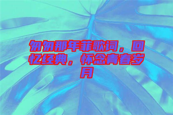 匆匆那年菲歌詞，回憶經典，懷念青春歲月