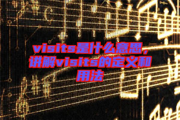 visits是什么意思，講解visits的定義和用法