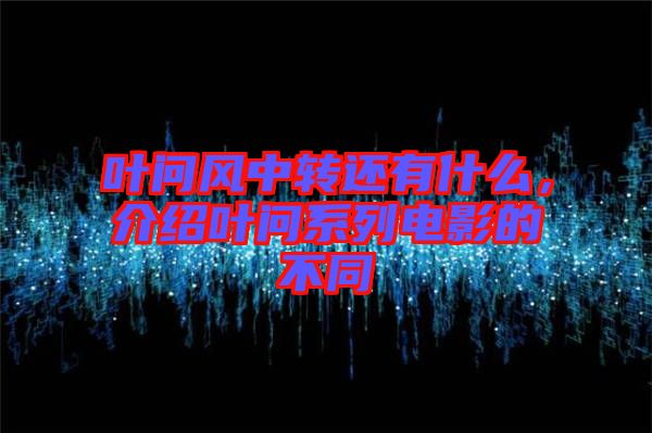 葉問風(fēng)中轉(zhuǎn)還有什么，介紹葉問系列電影的不同