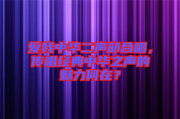 愛我中華二聲部合唱，傳唱經典中華之聲的魅力何在？