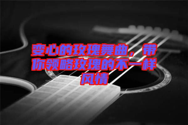 變心的玫瑰舞曲，帶你領(lǐng)略玫瑰的不一樣風(fēng)情