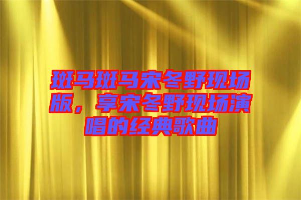 斑馬斑馬宋冬野現(xiàn)場版，享宋冬野現(xiàn)場演唱的經(jīng)典歌曲