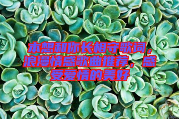 本想和你長相守歌詞，浪漫情感歌曲推薦，感受愛情的美好