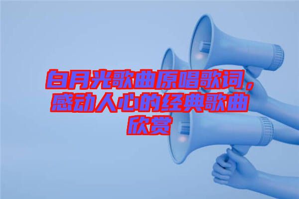 白月光歌曲原唱歌詞，感動人心的經典歌曲欣賞