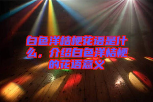 白色洋桔梗花語是什么，介紹白色洋桔梗的花語意義