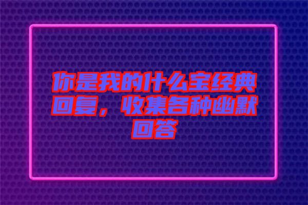 你是我的什么寶經(jīng)典回復，收集各種幽默回答