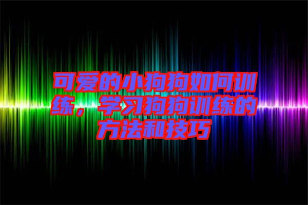 可愛的小狗狗如何訓練，學習狗狗訓練的方法和技巧