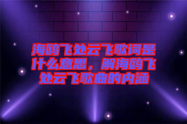 海鷗飛處云飛歌詞是什么意思，解海鷗飛處云飛歌曲的內涵