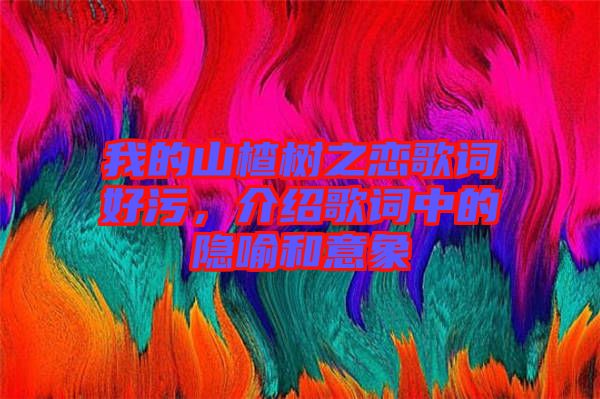 我的山楂樹之戀歌詞好污，介紹歌詞中的隱喻和意象