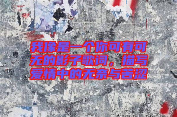 我像是一個你可有可無的影子歌詞，描寫愛情中的無奈與苦澀