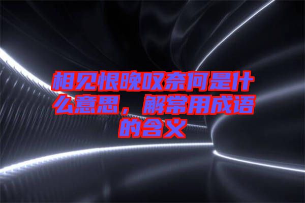 相見恨晚嘆奈何是什么意思，解常用成語的含義