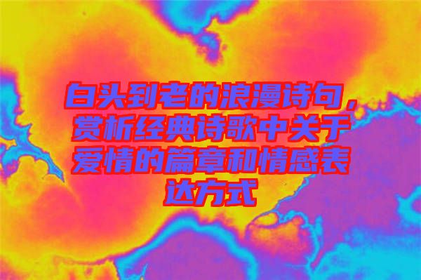 白頭到老的浪漫詩(shī)句，賞析經(jīng)典詩(shī)歌中關(guān)于愛(ài)情的篇章和情感表達(dá)方式