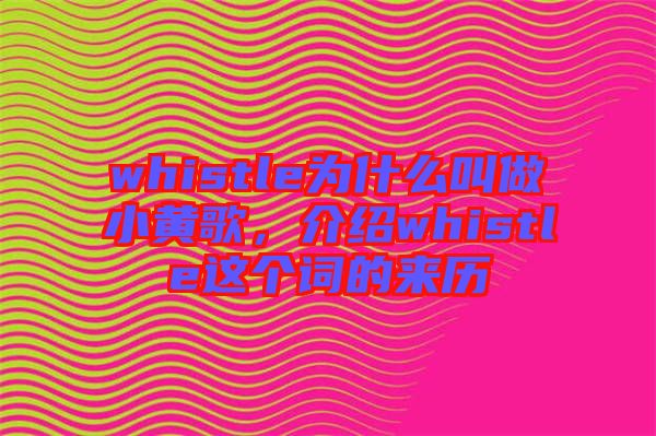 whistle為什么叫做小黃歌，介紹whistle這個詞的來歷