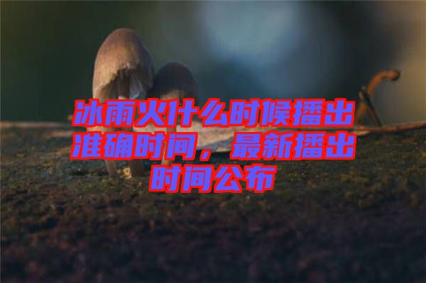 冰雨火什么時(shí)候播出準(zhǔn)確時(shí)間，最新播出時(shí)間公布