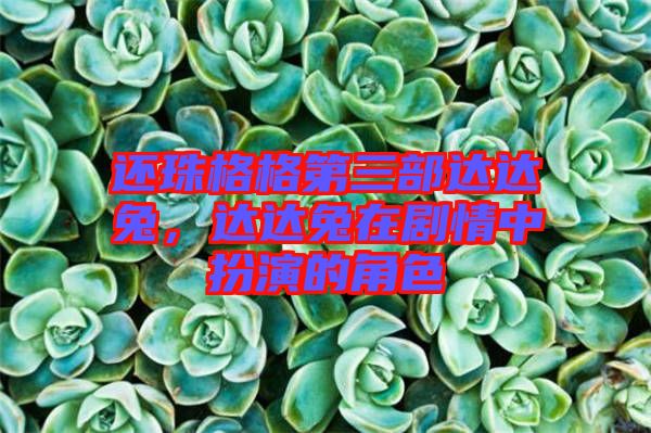 還珠格格第三部達(dá)達(dá)兔，達(dá)達(dá)兔在劇情中扮演的角色