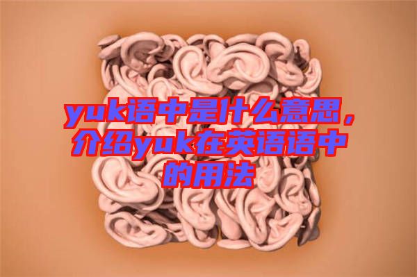 yuk語中是什么意思，介紹yuk在英語語中的用法