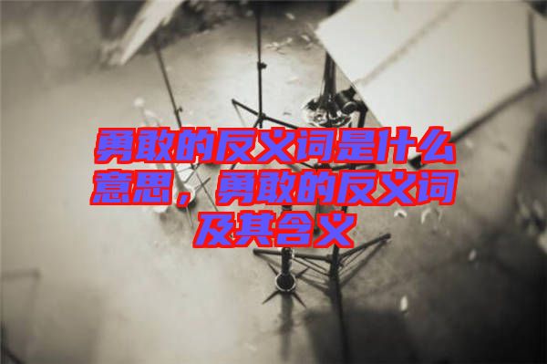 勇敢的反義詞是什么意思，勇敢的反義詞及其含義