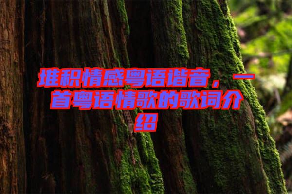 堆積情感粵語諧音，一首粵語情歌的歌詞介紹