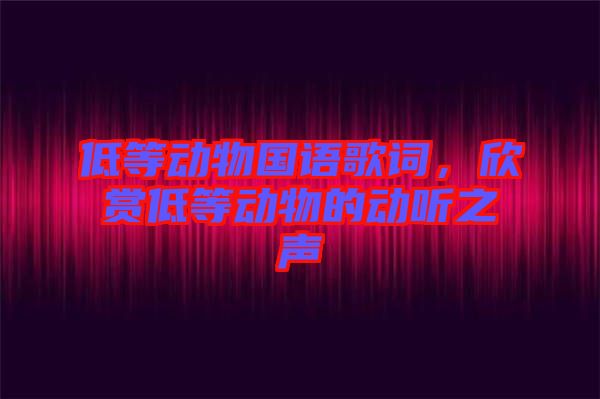 低等動物國語歌詞，欣賞低等動物的動聽之聲