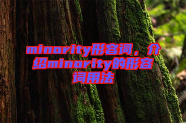 minority形容詞，介紹minority的形容詞用法