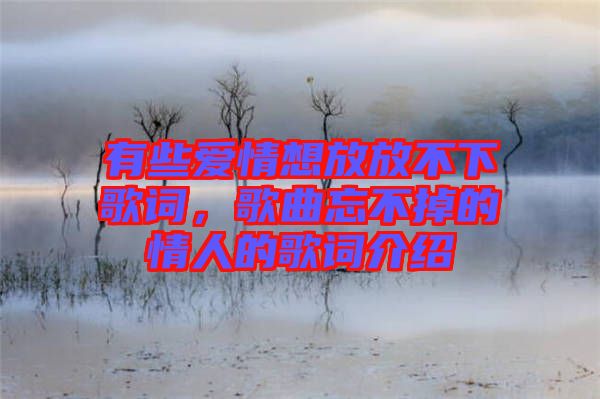 有些愛(ài)情想放放不下歌詞，歌曲忘不掉的情人的歌詞介紹