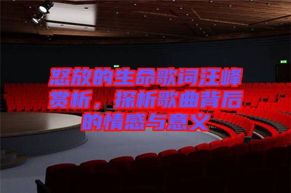 怒放的生命歌詞汪峰賞析，探析歌曲背后的情感與意義