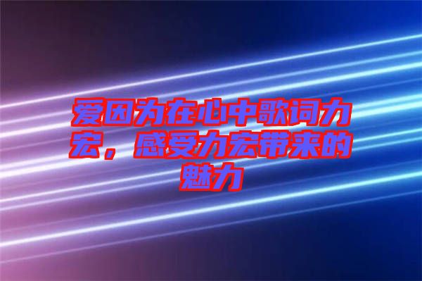 愛因?yàn)樵谛闹懈柙~力宏，感受力宏帶來的魅力