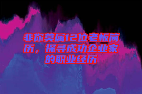 非你莫屬12位老板簡歷，探尋成功企業家的職業經歷