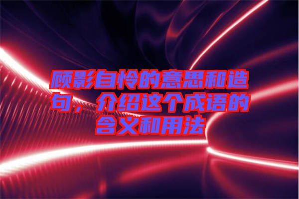 顧影自憐的意思和造句，介紹這個成語的含義和用法