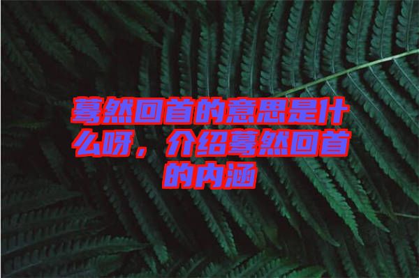 驀然回首的意思是什么呀，介紹驀然回首的內涵