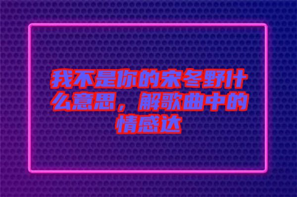 我不是你的宋冬野什么意思，解歌曲中的情感達