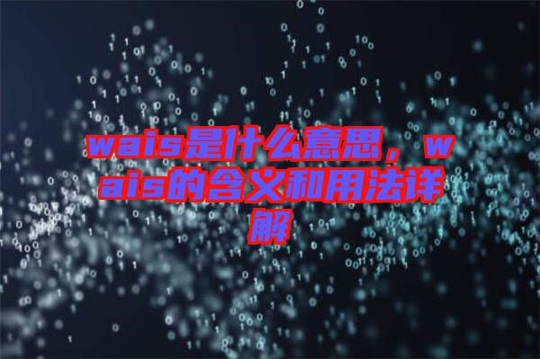 wais是什么意思，wais的含義和用法詳解