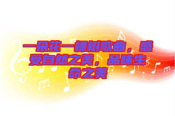 一朵花一棵樹歌曲，感受自然之美，品味生命之美