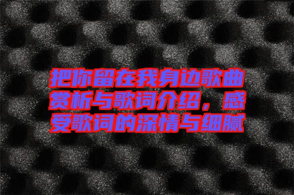 把你留在我身邊歌曲賞析與歌詞介紹，感受歌詞的深情與細(xì)膩