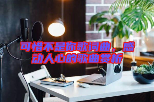 可惜不是你歌詞曲，感動人心的歌曲賞析