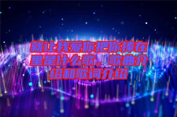 就讓我愛你把你捧在里是什么歌，歌曲介紹和歌詞介紹