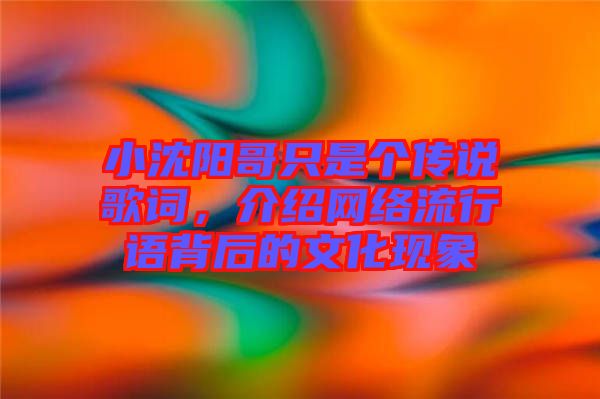 小沈陽哥只是個傳說歌詞，介紹網(wǎng)絡流行語背后的文化現(xiàn)象