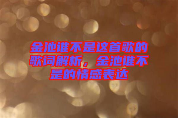 金池誰不是這首歌的歌詞解析，金池誰不是的情感表達