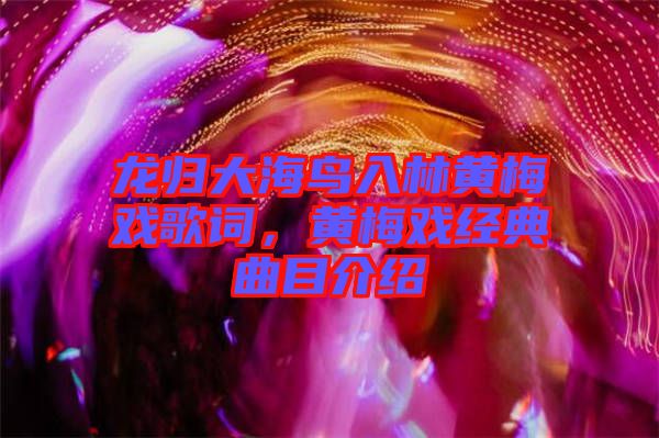 龍歸大海鳥入林黃梅戲歌詞，黃梅戲經(jīng)典曲目介紹