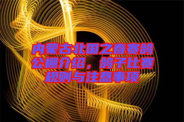 內(nèi)蒙古北國之春賽鴿公棚介紹，鴿子比賽規(guī)則與注意事項(xiàng)