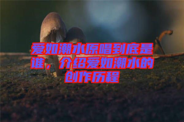 愛如潮水原唱到底是誰，介紹愛如潮水的創(chuàng)作歷程