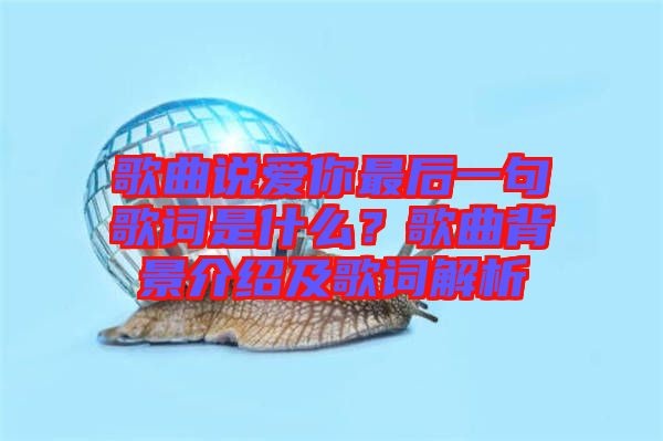 歌曲說愛你最后一句歌詞是什么？歌曲背景介紹及歌詞解析