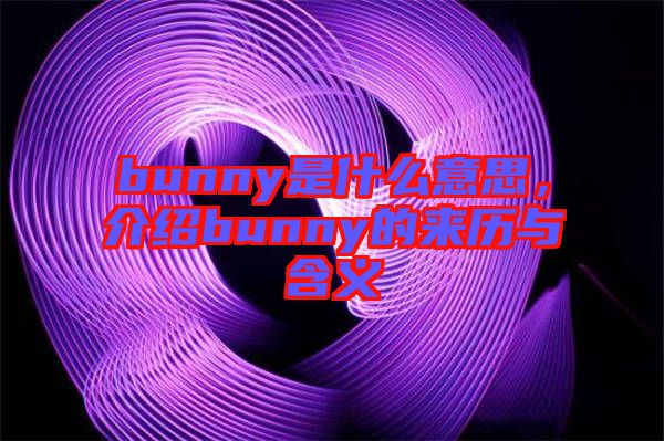 bunny是什么意思，介紹bunny的來(lái)歷與含義