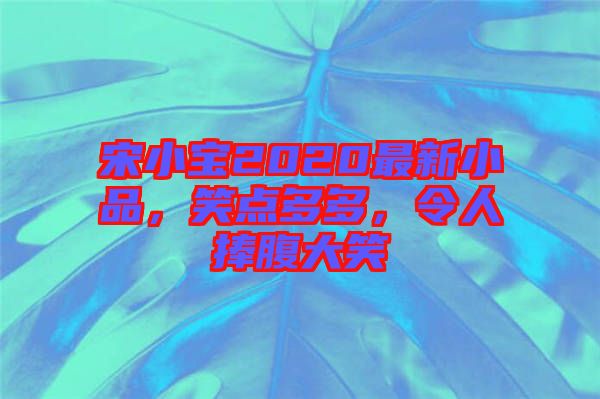 宋小寶2020最新小品，笑點(diǎn)多多，令人捧腹大笑