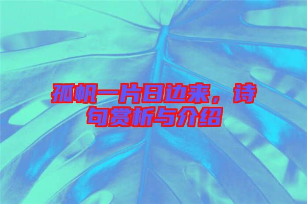 孤帆一片日邊來(lái)，詩(shī)句賞析與介紹