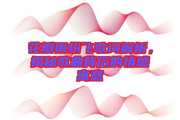 花瓣雨紛飛歌詞解析，揭秘歌曲背后的情感寓意