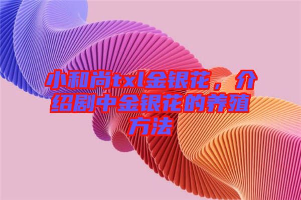 小和尚txl金銀花，介紹劇中金銀花的養殖方法