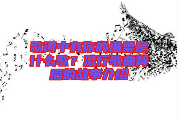 歌詞中有你的溫柔是什么歌？流行歌曲背后的故事介紹