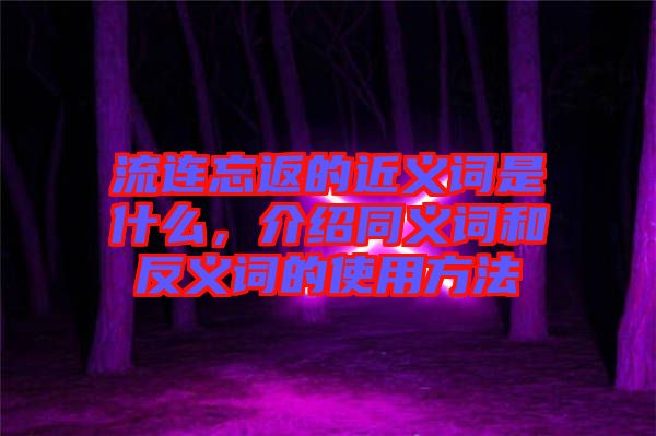 流連忘返的近義詞是什么，介紹同義詞和反義詞的使用方法