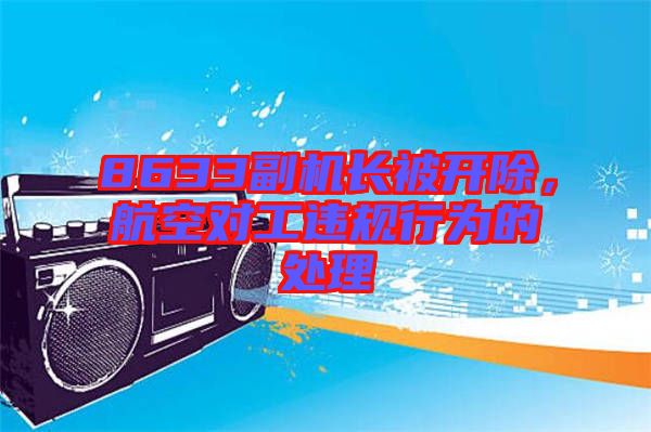 8633副機長被開除，航空對工違規行為的處理